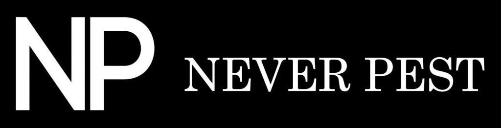 Best Woodpecker Deterrent - Repellents to Keep Them Away